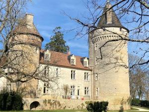 ein altes Schloss mit Turm drauf in der Unterkunft Pavillon d’entrée du château de Bouesse in Bouesse