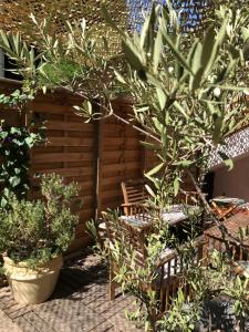 Vonkajšia záhrada v ubytovaní CASA DAHLIA - Charmant appartement équipé avec grande terrasse