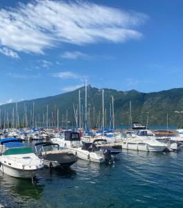 Un tas de bateaux sont amarrés dans un port dans l'établissement Résidence Neuve entre montagne et lac, à Aix-les-Bains