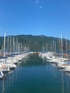 Er liggen boten in een haven. bij Résidence Neuve entre montagne et lac in Aix-les-Bains