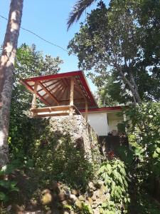 una pequeña casa con techo rojo en una colina en Mona‘s Tiny Djungle House, en Gitgit