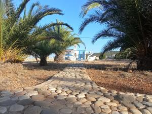 a stone pathway with palm trees and a house in the background at Metochi Gavdos in Gavdos