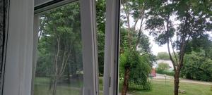 een open raam met uitzicht op een tuin bij Pakeliui in Kaunas