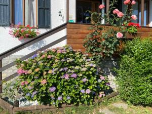 A garden outside B&B La Soldanella