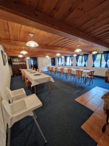 ペツ・ポト・スニェシュコウにあるPension Pianaのテーブルと椅子、窓が備わる広い客室です。