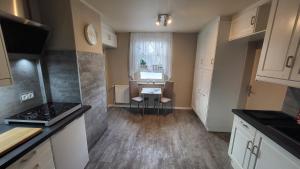 Kuchyň nebo kuchyňský kout v ubytování Apartments am Saalebogen mit Gartenterrasse, Grillkamin und freie Parkplätze