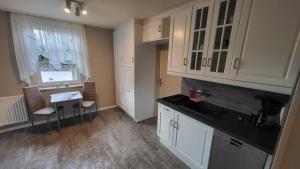 Kuchyň nebo kuchyňský kout v ubytování Apartments am Saalebogen mit Gartenterrasse, Grillkamin und freie Parkplätze