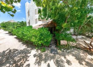 Zahrada ubytování Hotel Ak'Na Holbox