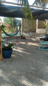 Zahrada ubytování Casa Ibiza Celestun