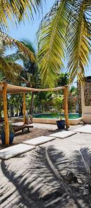 um pátio com uma rede de descanso e um banco e palmeiras em Casa Ibiza Celestun em Celestún