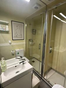Apartamento 1 hab en La Latina - Madrid Centro في مدريد: حمام مع دش زجاجي ومغسلة