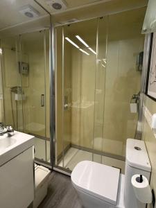 y baño con ducha, aseo y lavamanos. en Apartamento 1 hab en La Latina - Madrid Centro en Madrid