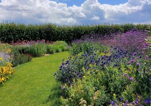 un jardín con muchos tipos diferentes de flores en Harrow Cottage, en Yoxford