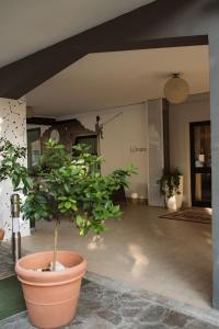 Vonkajšia záhrada v ubytovaní Hotel Antagos