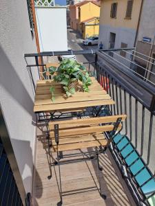 een tafel op een balkon met een plant erop bij Suite Da Gabry 2 in Olbia