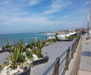 カサブランカにあるCorniche Casablancaの塀と植物と海の付いた海岸