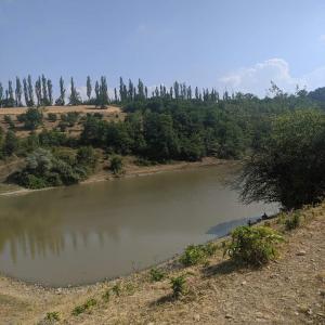 a body of water with trees in the background at Quba Guest House 