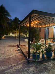 Zahrada ubytování Casa Ibiza Celestun