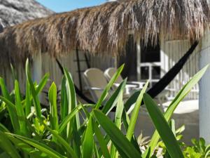 ein strohgedecktes Haus mit Stühlen und Gras in der Unterkunft Coco Tulum Hotel in Tulum