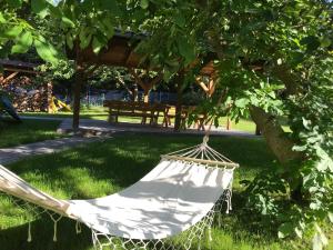 a hammock in a park with a bench in the background at Mazurska Zagroda - Żabi Rechot - dom - stodoła - sauna - jacuzi in Worliny