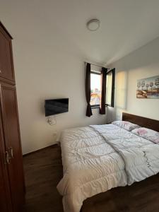 a bedroom with a large bed and a window at MONTANA apartment 9 in Kopaonik