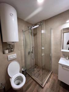 a bathroom with a shower with a toilet and a sink at MONTANA apartment 9 in Kopaonik