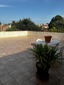 een tafel en een potplant op een patio bij appartement neuf P3 50m2 in Nîmes