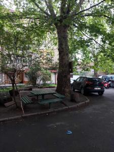 a picnic table next to a tree in a parking lot at Luka in Tbilisi City