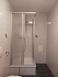 a bathroom with a shower with a toilet in it at Rustikal79 in Bleicherode