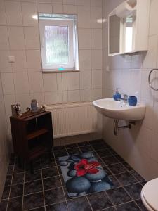 a bathroom with a sink and a toilet and a sink at Rustikal79 in Bleicherode