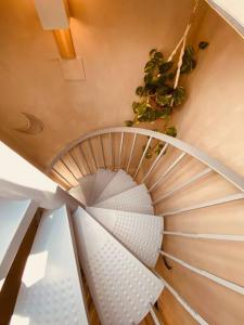 uma escada em espiral com um vaso de plantas em LA TORRE Eco-Suite em Vejer de la Frontera