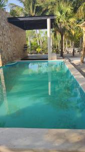 una piscina con acqua blu e palme di Casa Ibiza Celestun a Celestún