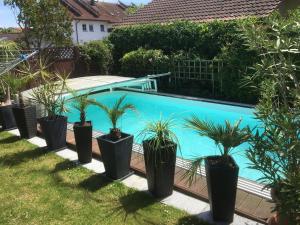 eine Reihe Topfpflanzen neben einem Pool in der Unterkunft Ferienwohnungen Christoph in Pfaffing