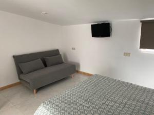 1 dormitorio con cama, sofá y TV en Apartamentos OLIVA, en Caldas de Reis