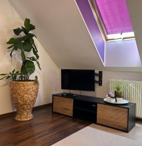 a living room with a tv and a vase with a plant at Apartament Mazurska Natura in Szczytno