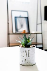 a plant in a pot with the words love is all at LMK in Serris