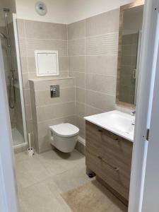 a bathroom with a toilet and a sink and a shower at Very nice and quiet 38 m in Suresnes with parking in Suresnes