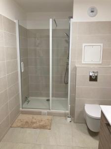 y baño con ducha y aseo. en Very nice and quiet 38 m in Suresnes with parking, en Suresnes