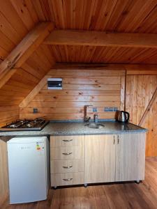 a kitchen with a white refrigerator and a sink at Mutlu apart ve bungalovs in Pazar