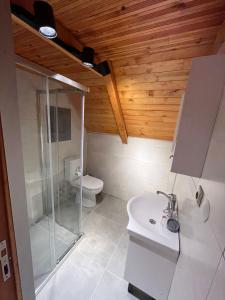 a bathroom with a shower and a sink and a toilet at Mutlu apart ve bungalovs in Pazar