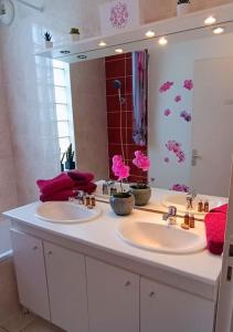 baño con 2 lavabos y espejo grande en Les Villas de Beaulieu en Caen