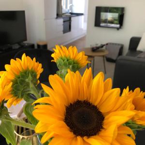 TV a/nebo společenská místnost v ubytování Vakantiewoning Mystiek