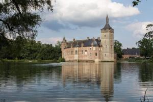 a castle in the middle of a body of water at Wilgentuin in Bekkevoort