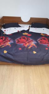 Gallery image of Casa Drumețului in Făgăraş