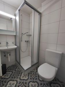 a bathroom with a shower and a toilet and a sink at Cosy appartement 1 chambre au coeur du bourg in Fribourg