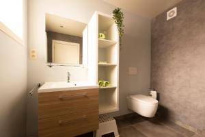 łazienka z umywalką i toaletą w obiekcie Het Landsleven w mieście Gingelom