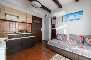 kuchnia i sypialnia z łóżkiem i umywalką w obiekcie Apartamenty Parzenica w Zakopanem