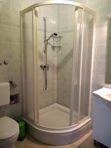 a shower stall in a bathroom with a toilet at Apartmani Brkic - Seaview apartments - Sand beach in Nin +1 photo