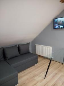sala de estar con sofá y TV en Dom Wypoczynkowy Nad Wisłą en Puławy