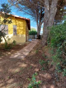 Una casa amarilla con un árbol delante. en Agriturismo I 13 Pini di Putzu Anna Maria en Giba